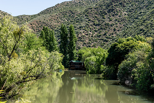 Old-Mill-3