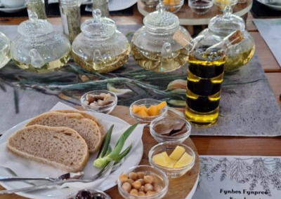 Klein Karoo Fynbos Taste Experience